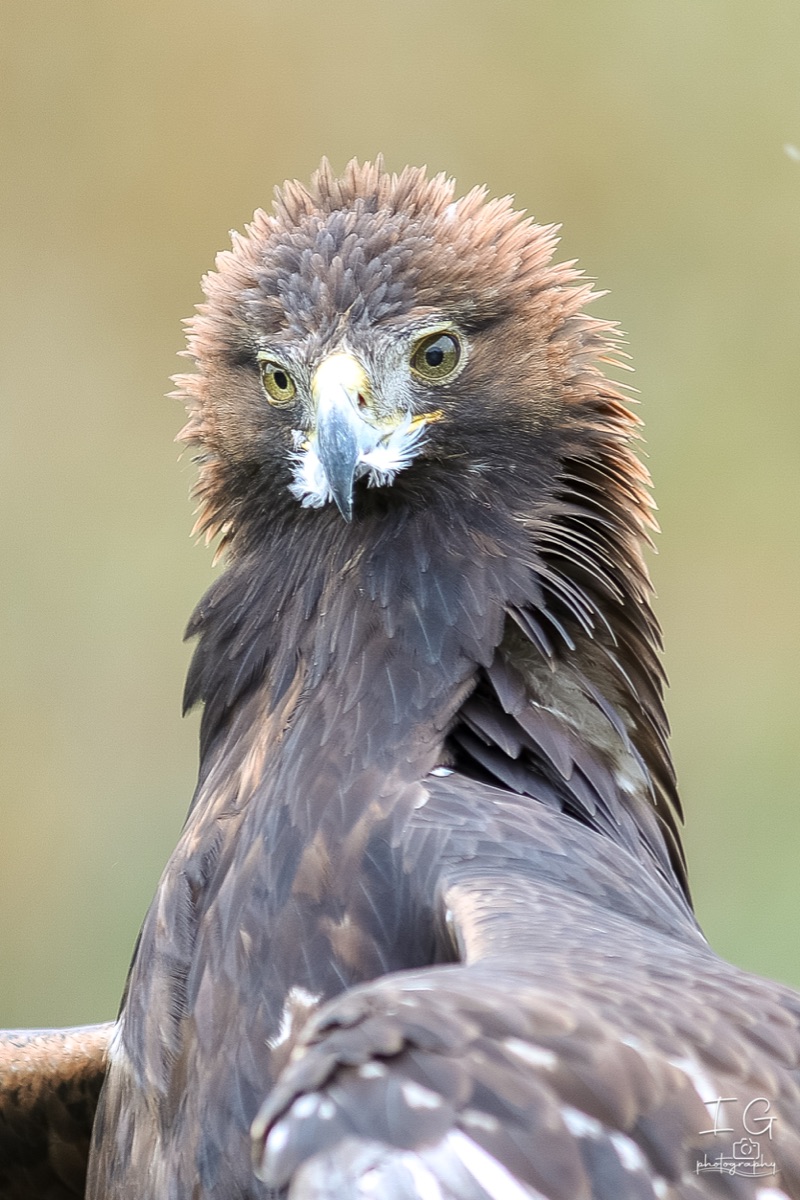 20211023 AK6I9935 insta